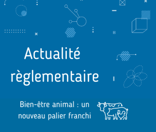 Réglementation - bien-être animal, un nouveau palier franchi