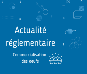 actu oeufs