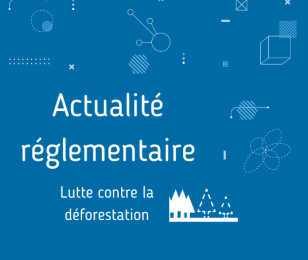 déforestation