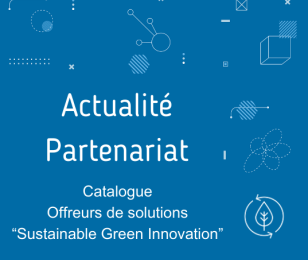 Sustainable Green Innovation