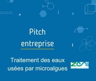 pitch zeni